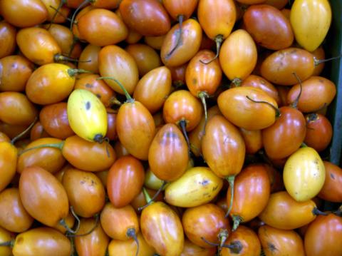 image Tomate de árbol (Colombia)