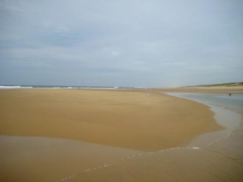image Playa del cabo Ferret (Francia)