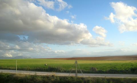 image Campiña en Antequera, Málaga (España)