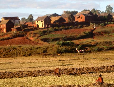 image Paisaje rural de Madagascar 