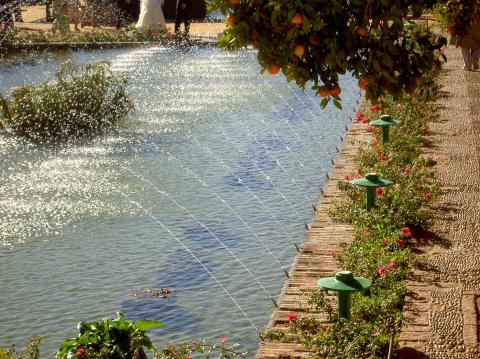 image Jardines del Alcázar de los Reyes Cristianos, Córdoba (España)