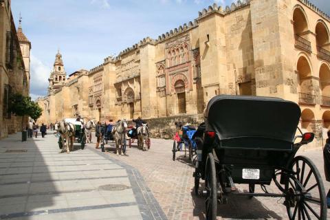image Mezquita Catedral de Córdoba (España)