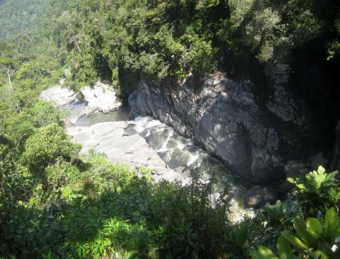image Rio y selva en el Parque nacional de Ranomafana