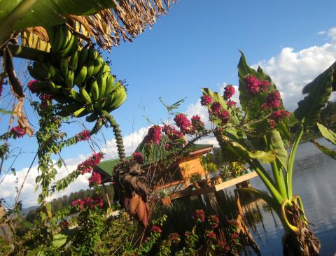 image Hotel palafito de Fianarantsoa, Madagascar