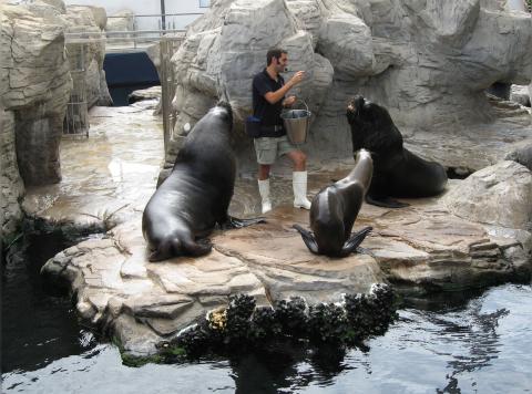 image Oceanogràfic de Valencia (España)