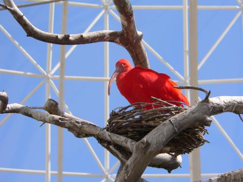 image Oceanogràfic de Valencia (España)