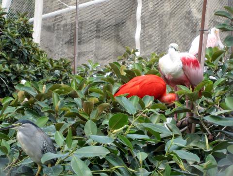 image Oceanogràfic de Valencia (España)