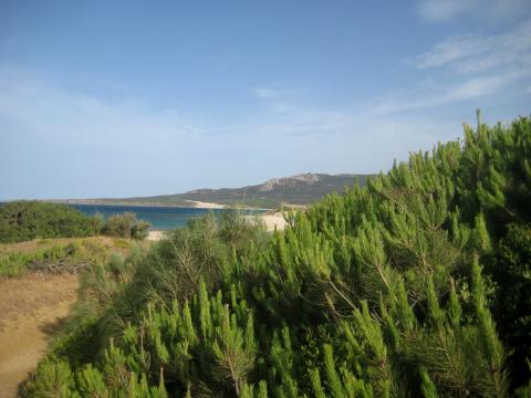 image Playa de Bolonia, Cádiz (España)