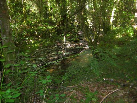 image Ruta de la Seimeira en Santa Eulalia de Oscos, Asturias