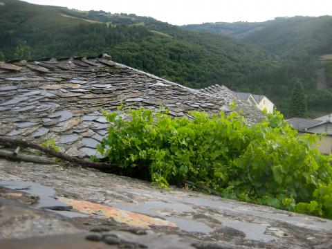 image Tejado de una casa