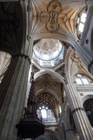 Bóvedas de la Catedral de Salamanca