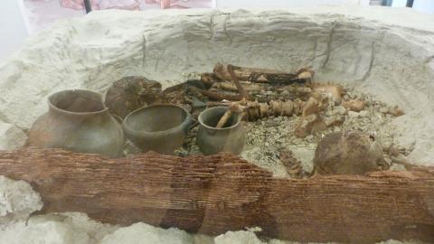 image Museo arqueológico de Galera