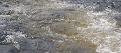 image Agua del lago Ness