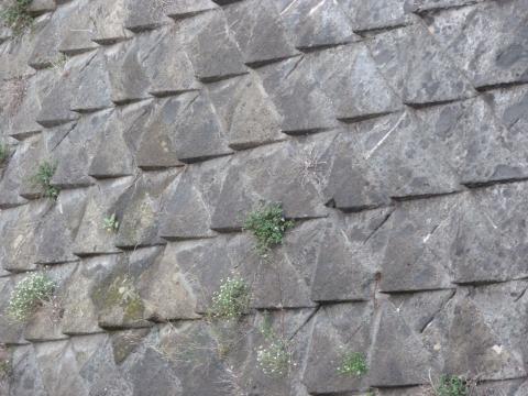 image Castillo Nuevo de Nápoles 