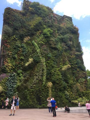 image Jardín vertical