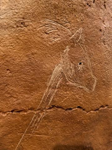 image Grabados en la Cueva de Altamira
