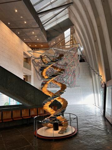 image Museo Domus, La Coruña