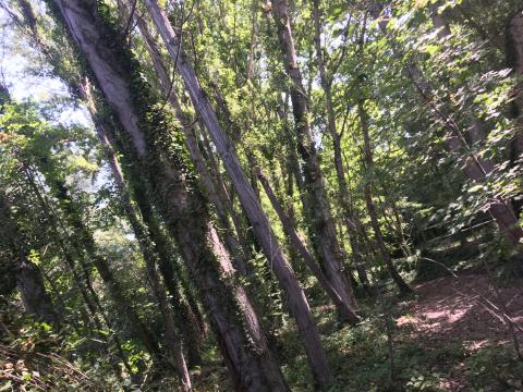 image Dúrcal, Granada