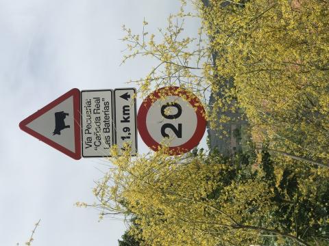 image Señal de vía pecuaria