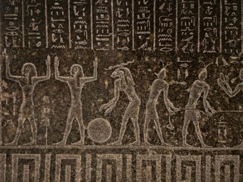 image Hormigas faraón