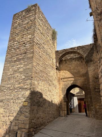 image Puerta del Losal, Úbeda (Jaén)