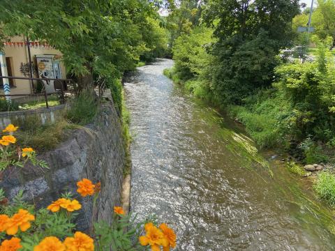image Río en Uzupis