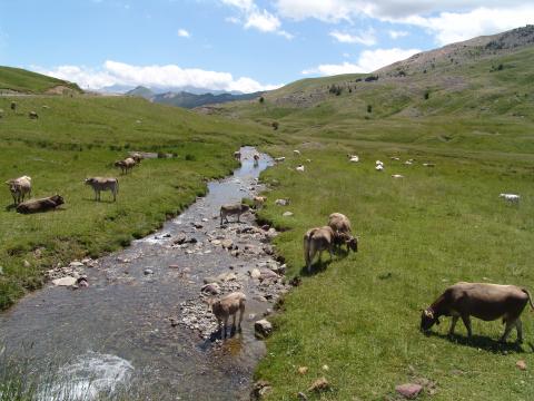 image Río Gállego, Huesca