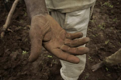 image Manos castigadas por el trabajo en la tierra, Etiopía