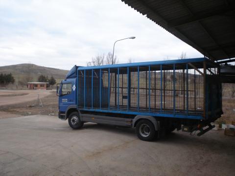 image Camión vacío tras la descarga en el matadero