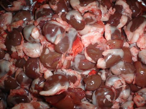 image Riñones de conejo