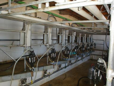 image Sala de ordeño vacía en explotación de vacuno