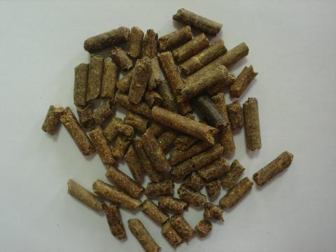 image Pulpa de manzana deshidratada para alimentación animal