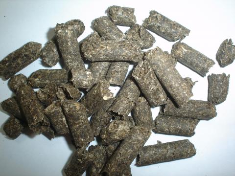 image Pulpa de remolacha para alimentación animal