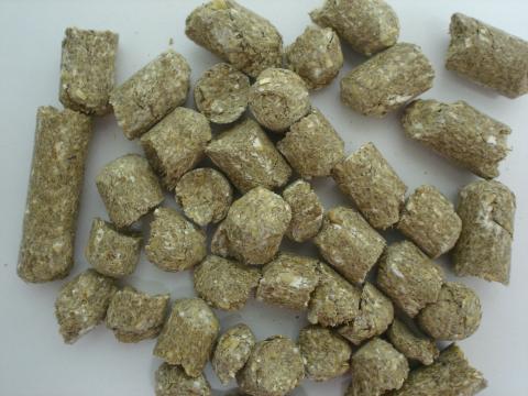 image Raicilla para alimentación animal