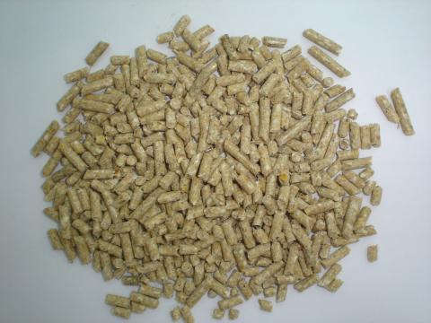 image Pienso para corderos