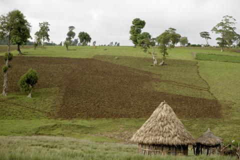 image Chozas de madera en una aldea etíope