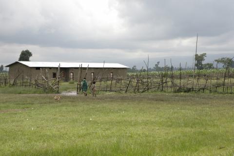 image Escuela de la aldea donde también se realizan las vacunaciones, Etiopía