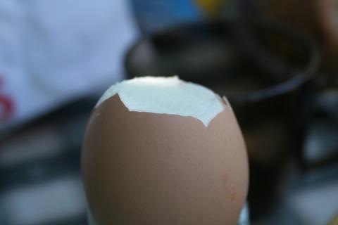 image Huevo pasado por agua