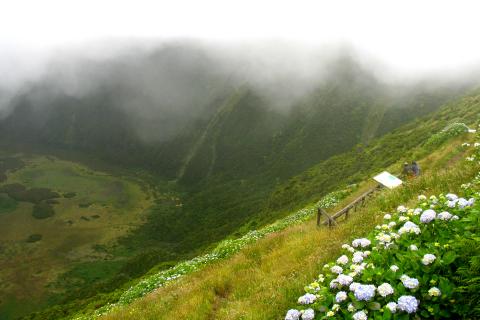 image Caldera en la Isla de Faial, Azores