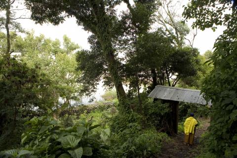 image Camino para llegar al monasterio Kibran Gabriel, Etiopía