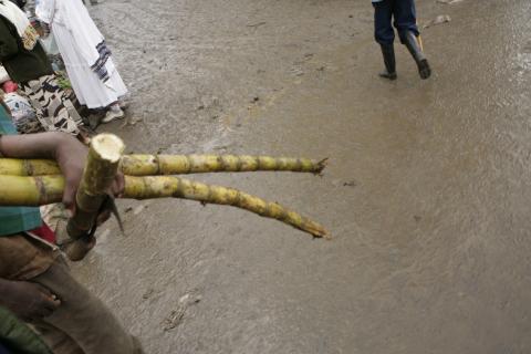 image Vendedor de caña de azucar en el mercado de Bahar Dar, Etiopía