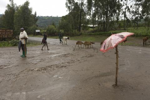 image Cruce de caminos en Wolleka, Etiopía