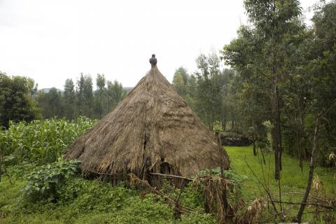 image Choza al estilo tradicional en Wolleka, Etiopía