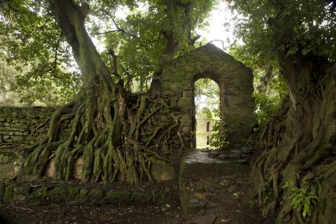 image Entrada a los baños del emperador Fasilidas, Gondar, Etiopía