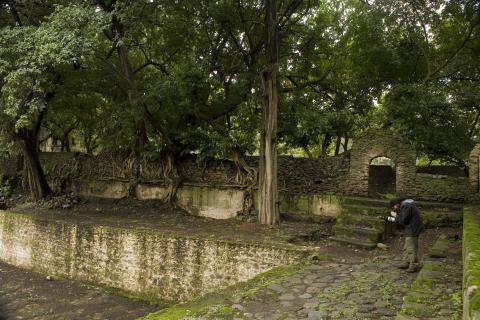image Vista de la piscina de los baños del emperador Fasilidas, Gondar, Etiopía