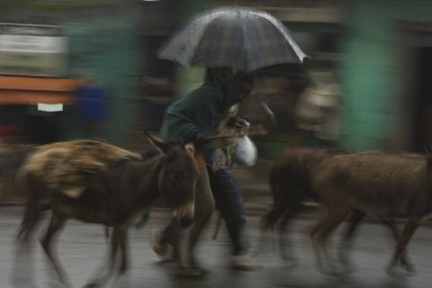 image Bajo la lluvia, Gondar, Etiopía
