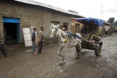 image Carro por las calles de Gondar, Etiopía