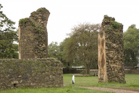 image Entrada al recinto real de Fasil Ghebi, Etiopía