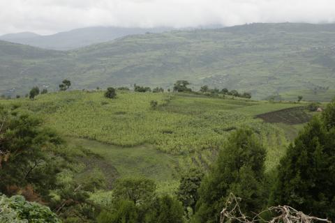 image Paisaje verde, Etiopía