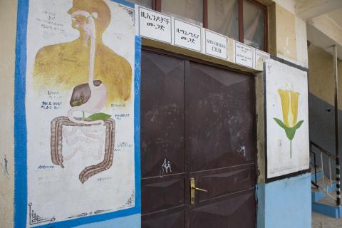 image Dibujos sobre anatomía en las paredes de la escuela pública de Harar, Etiopía